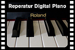 Reperatur Digital Piano Roland HP2800